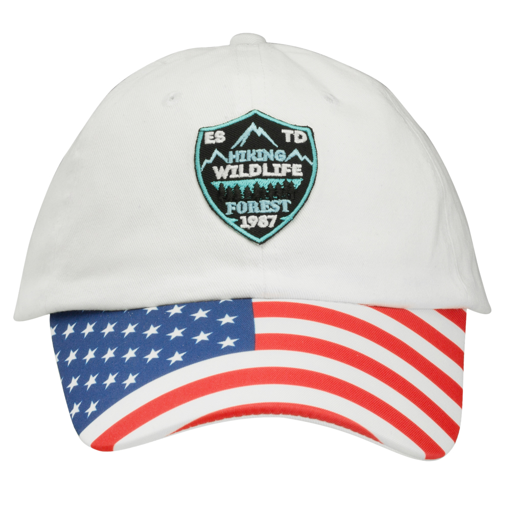 Embroidered Patriotic 6 Panel Baseball Caps CAP90 DiscountMugs